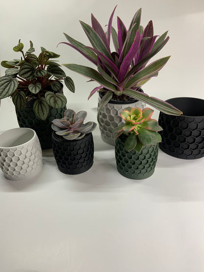 White Honeycomb planter with hidden drainage tray