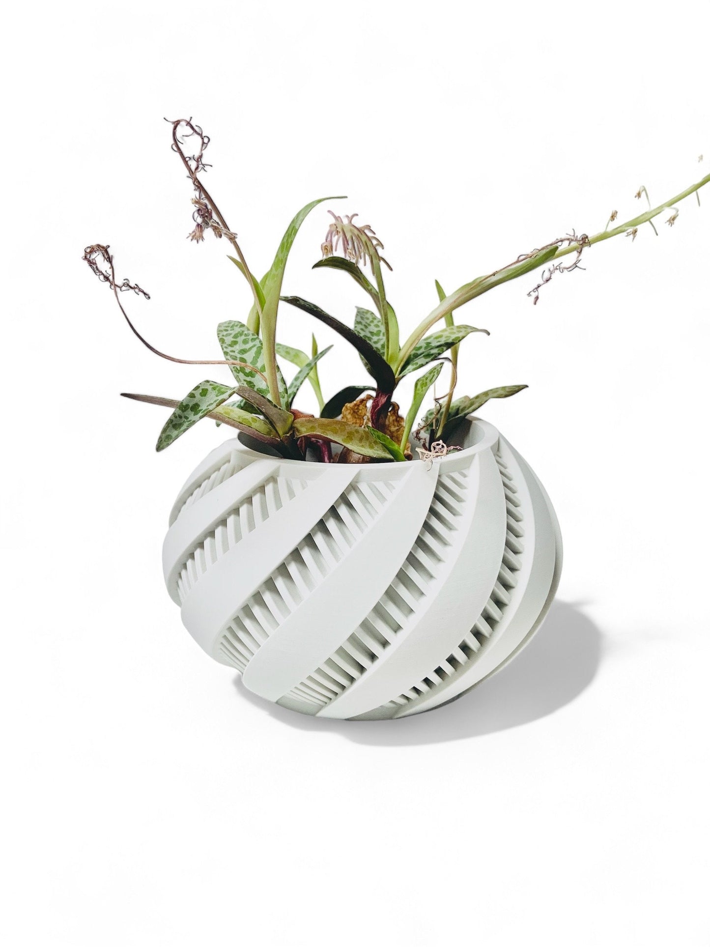 Krato Planter