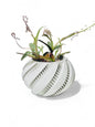 Krato Planter